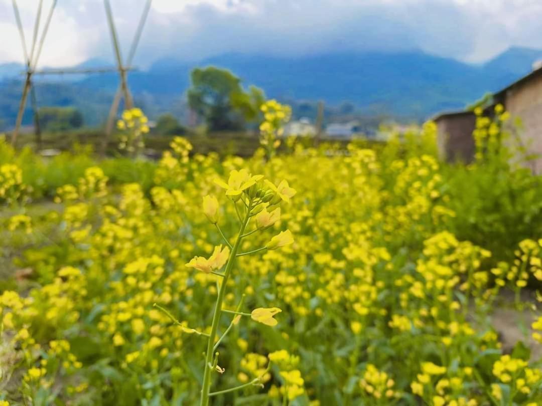 Sapafamily Eco Villa Dış mekan fotoğraf